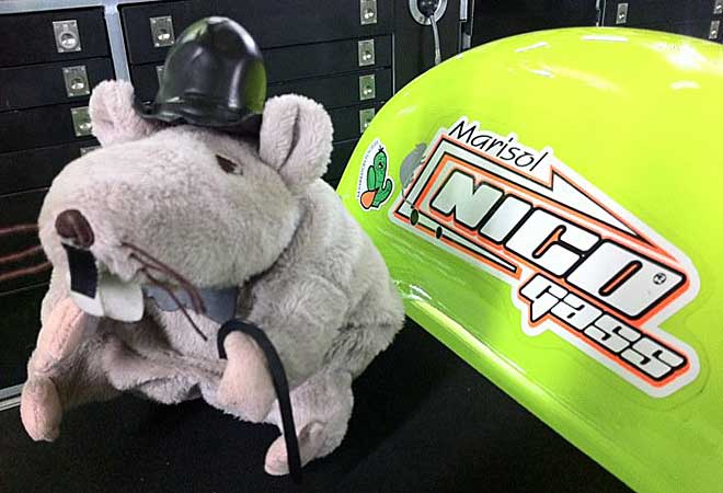 Como un aut�ntico Sir ingl�s, la mascota viajera se puso bigote, bomb�n y bast�n.
