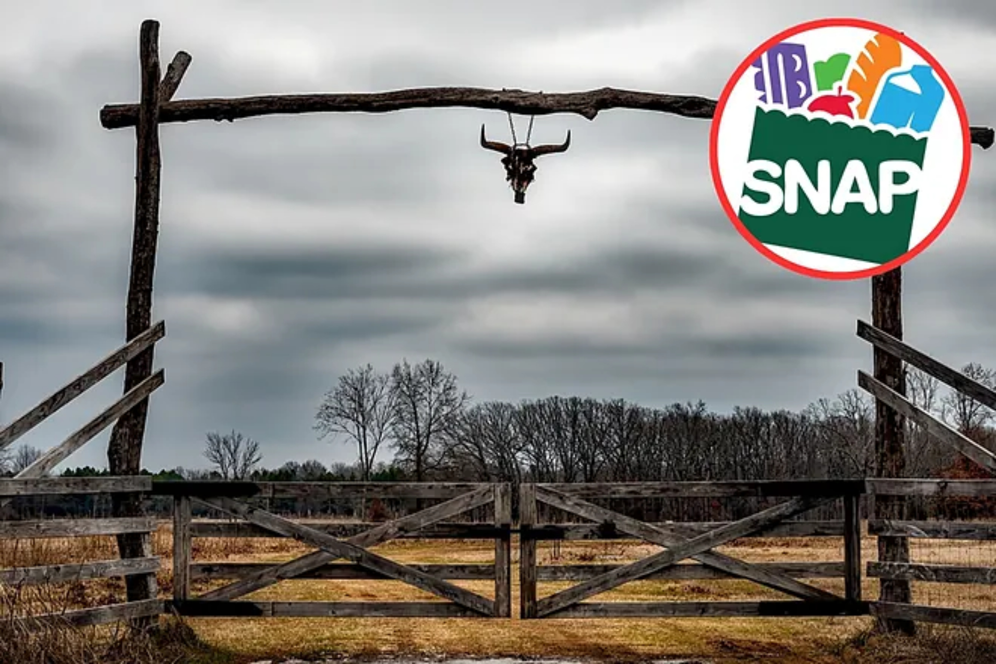 Food Stamps News - Latest Food Stamps News & Updates